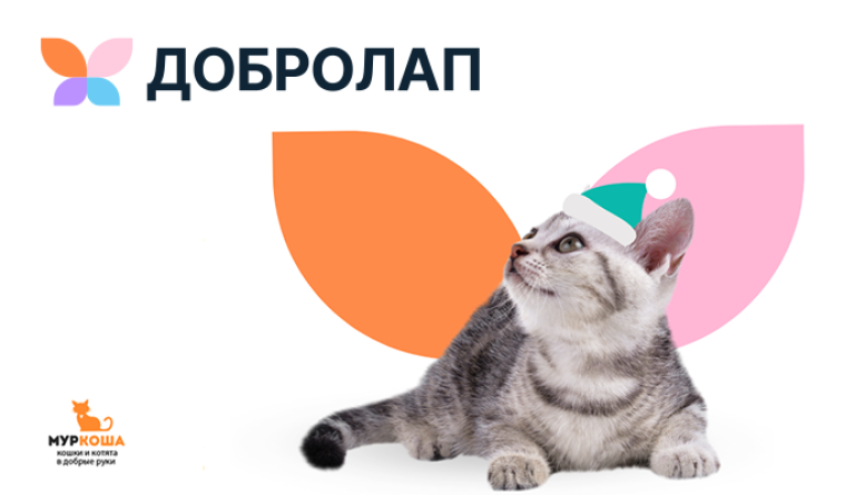 Благотворительный проект "Добролап" от компании "Четыре Лапы"