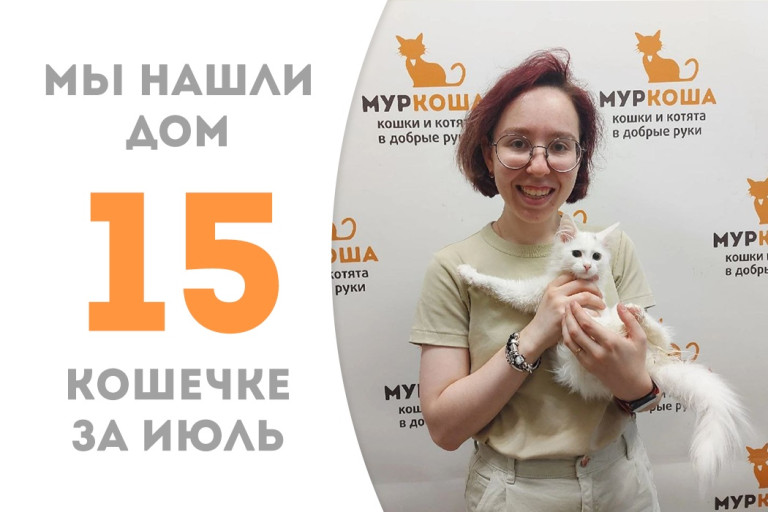 Трёхмесячная кошечка Африна обрела хозяйку пробыв чуть более месяца в приюте! 