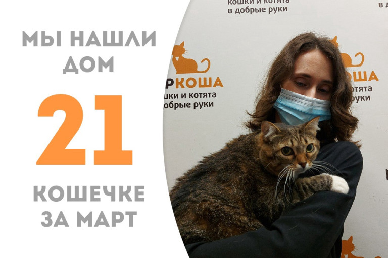 Кошечка Агриппина начинает долгожданную домашнюю жизнь!