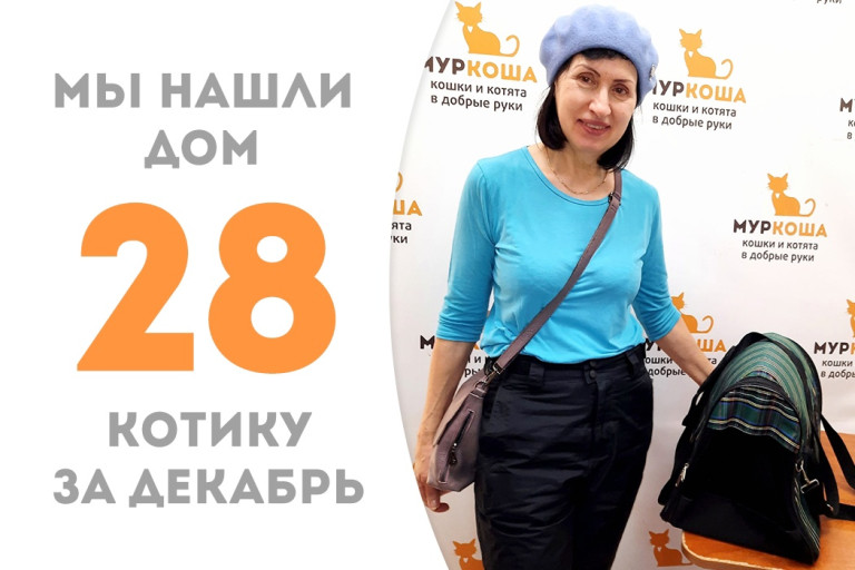 Полуторагодовалый котик Акапулько встретил добрую хозяйку! 