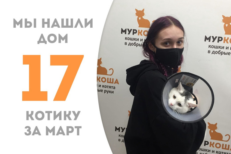 У котика Альбиона появилась надёжная хозяйка!