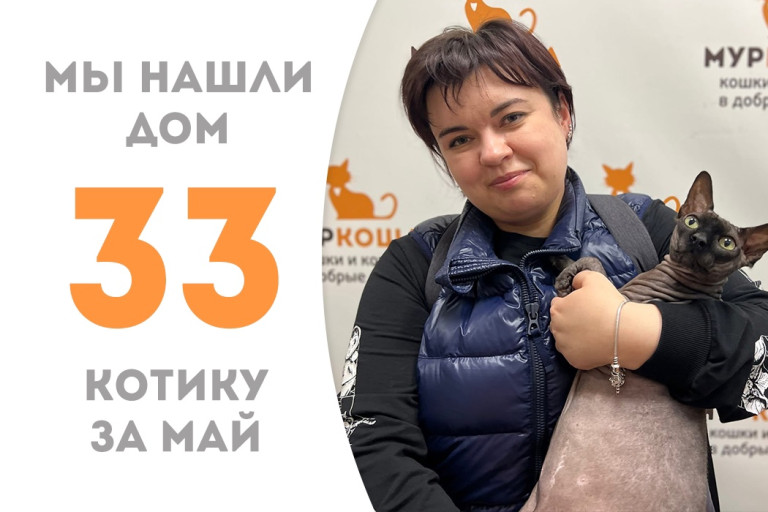 Котик Амон Ра нашёл новый дом за двенадцать дней! 