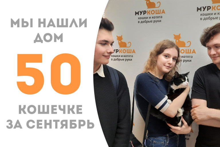 Трёхлетняя кошечка Анютка встретила своего человека! 