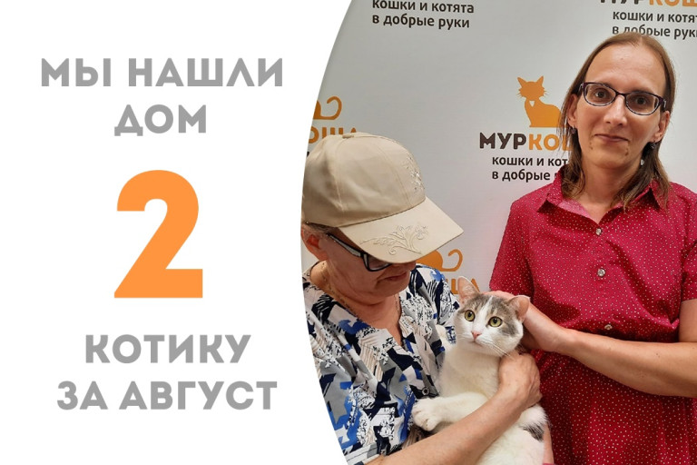 Трёхлетний котик Артемий стал домашним! 