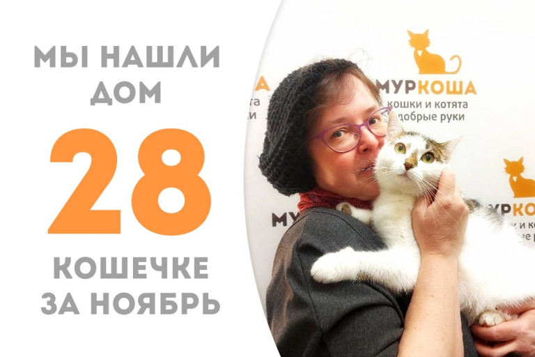 Годовалая кошечка Аска нашла место в сердце и в доме куратора!