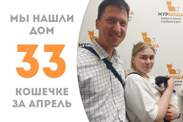 Кошечка Асти стала домашней за месяц! 