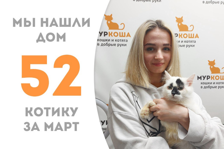 Котик Авалон встретил надёжную хозяйку! 