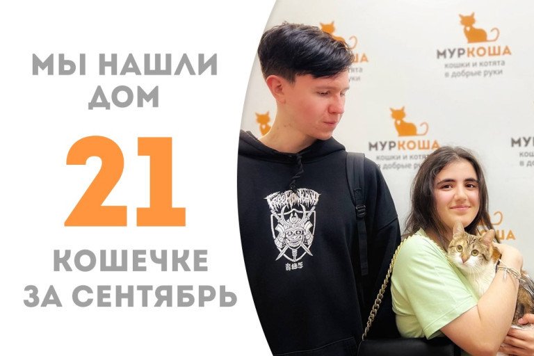 Кошечка Бабалу отправилась в домашнюю жизнь! 