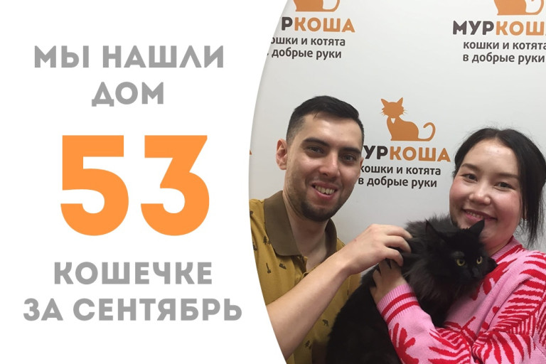 Годовалая кошечка Баффи теперь будет домашней любимицей! 