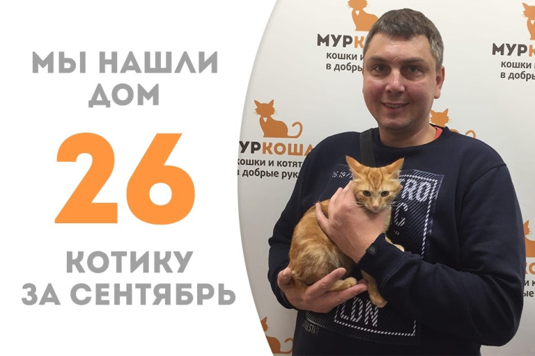 Котенок Багет стал домашним, пробыв в приюте меньше месяца! 