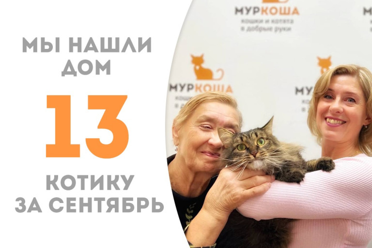 Семилетний котик Барнис стал счастливым и любимым домашним котиком! 
