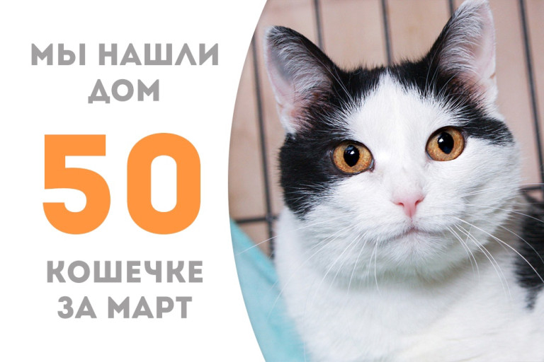 Кошечка Белка уехала в новый дом!