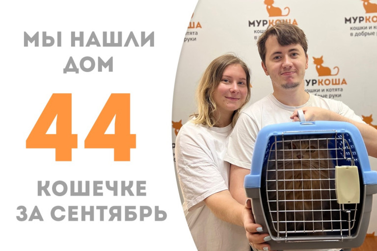 Трёхлетняя кошечка Бертальда обрела уютный дом и заботливую семью! 
