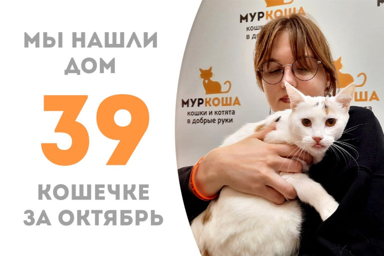 Годовалая кошечка Бирка, вывезенная с дач, встретила добрую хозяйку! 