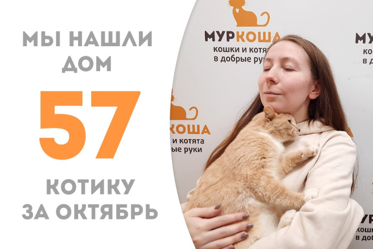 Котик Бисквитик через два месяца покинул приют, чтобы начать счастливую жизнь дома! 