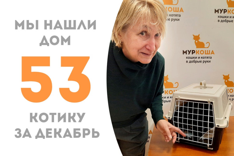Котик Блэйд нашёл своего человека, пробыв три месяца в приюте!