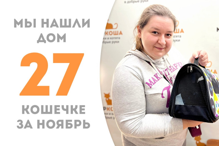 Двухлетняя кошечка Бомбина встретила добрую хозяйку и уехала в новый дом! 