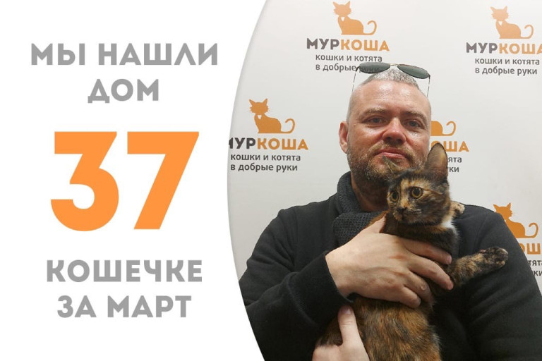 Котёнок Бонаси стала домашней за два месяца!
