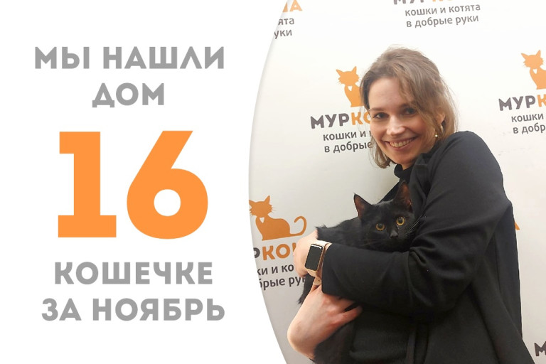 Полугодовалая малышка Босси нашла свой дом и родственную душу за три месяца в приюте! 