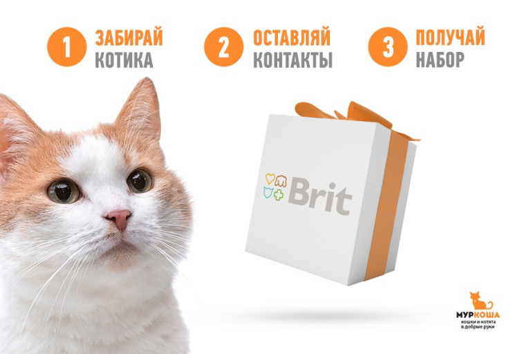 Проект оbritитедруга от компании Brit