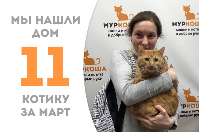 Котик Бубликус стал домашним!