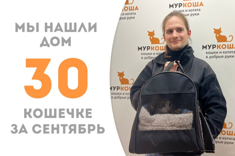 Четырёхлетняя кошечка Букбридж встретила своего человека! 