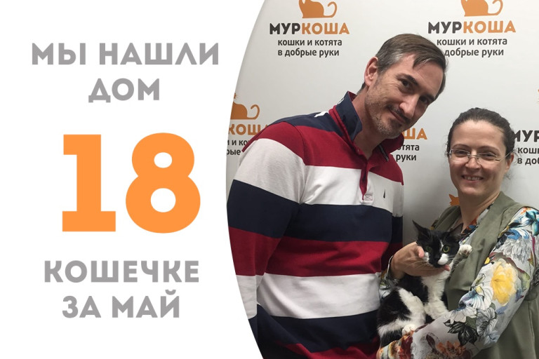 Кошечка Чародейка встретила свою семью! 