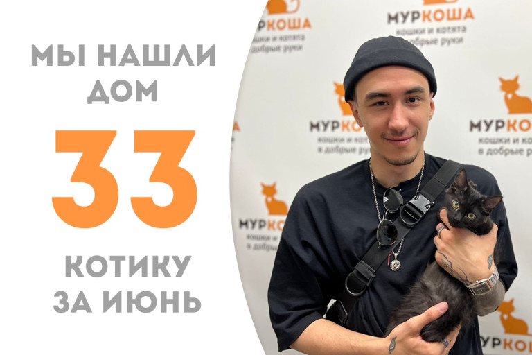 Трёхмесячный котёночек Чернуша стал домашним за полтора месяца!