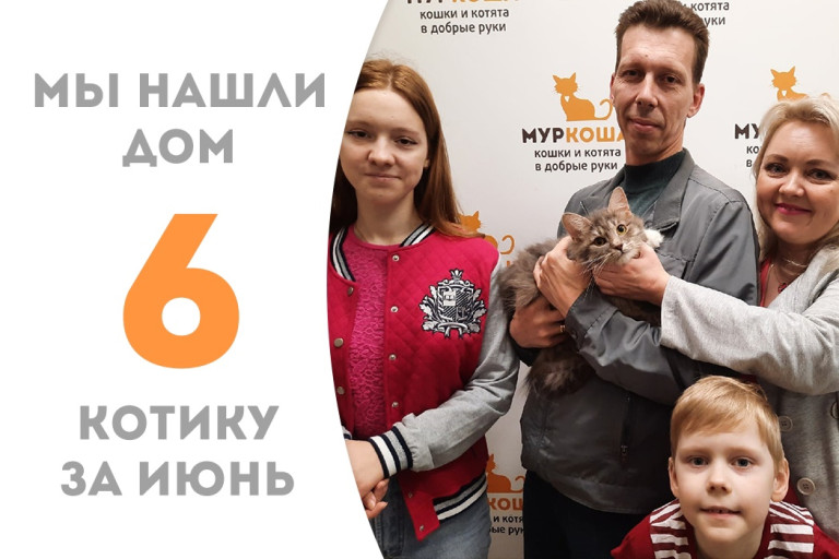 Котик Чешир встретил семью и названного брата спустя три месяца в приюте! 