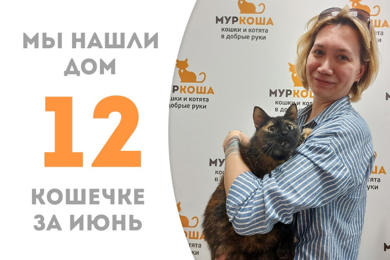 Кошечка Чика стала домашней и любимой! 