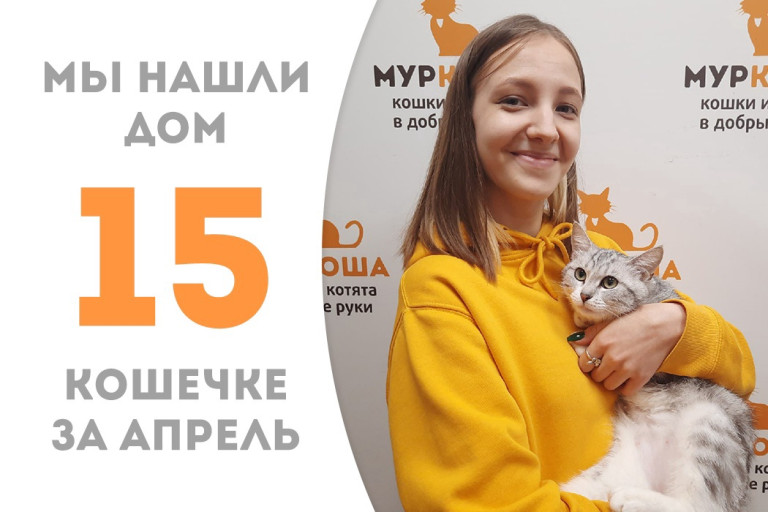 У кошечки Чипсы появилась прекрасная хозяйка! 