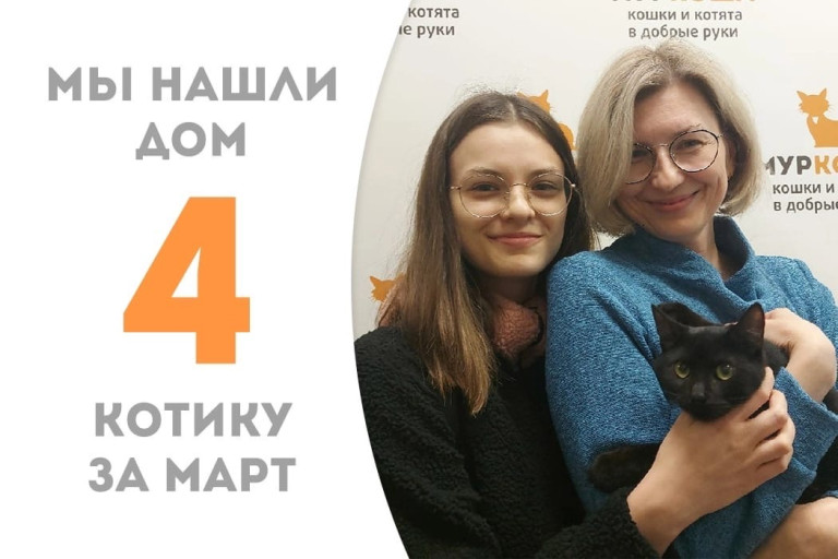 Котёнок Чокобон встретил заботливую семью!