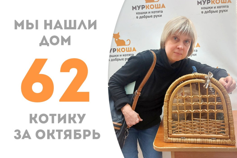 Котик Дарлинг уехал в новую семью к нашему выпускнику Василю через три недели после появления в приюте! 
