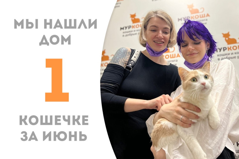 Пятилетняя кошечка Дашуница встретила своих людей! 