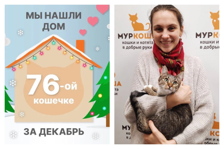 Кошечка Инха уезжает в свой дом!
