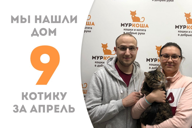 Неунывающий Демьянчик нашел дом за три недели!