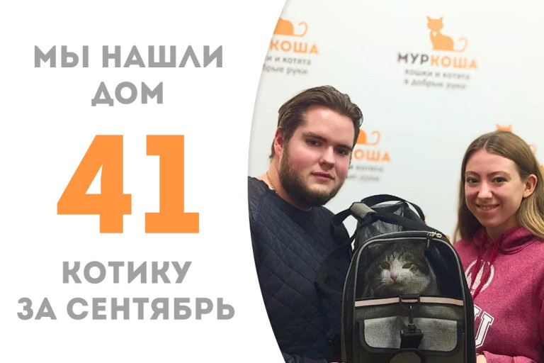 Четырёхлетний котик Дэнсер стал вновь домашним!