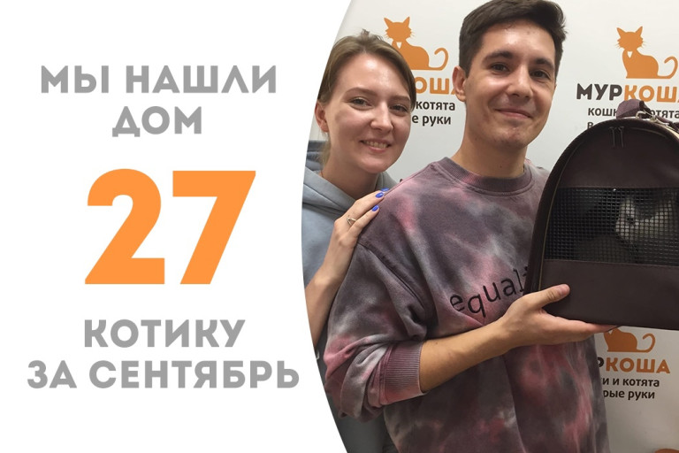 Годовалый котик Дракс встретил замечательных хозяев и отправился домой!