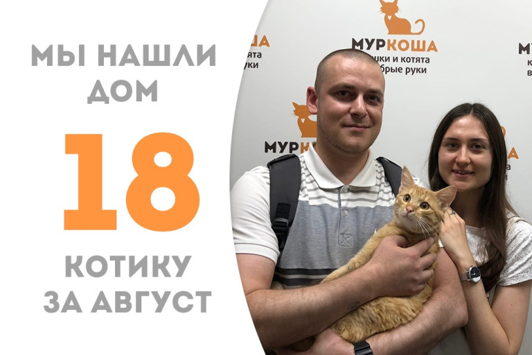 Котик Джером нашёл себе семью и дом пробыв в приюте менее двух месяцев! 