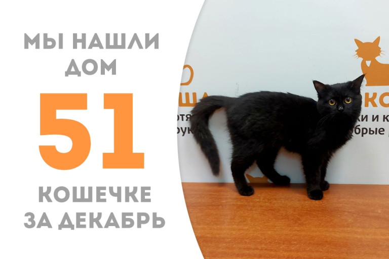 Семимесячная красавица Эфочка уехала в семью к нашим выпускникам!
