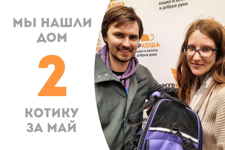 Котик Ефросиньевич встретил своих людей! 