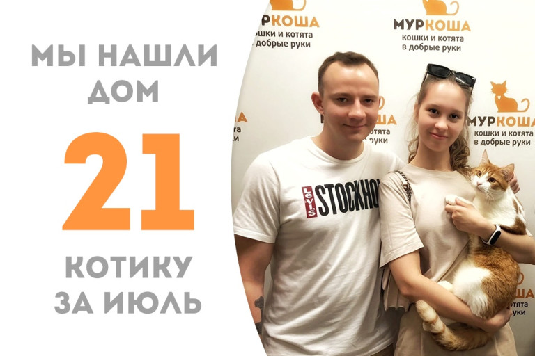 Годовалый котик Экрю отправился в домашнюю жизнь! 