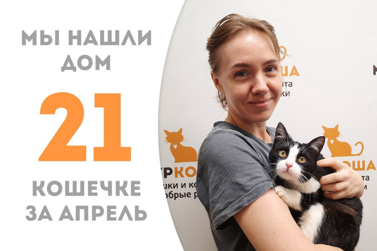 Аппетитная кошечка Эскимо стала домашней!