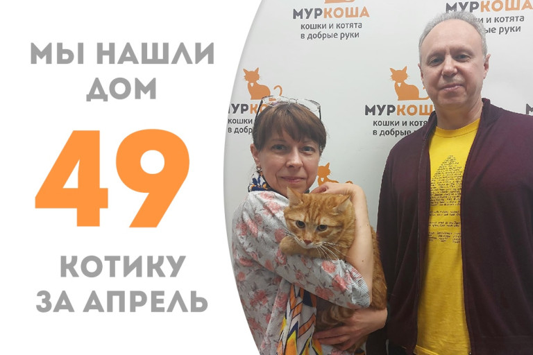Мы нашли замечательную семью для обаятельного Фан-Фана! 