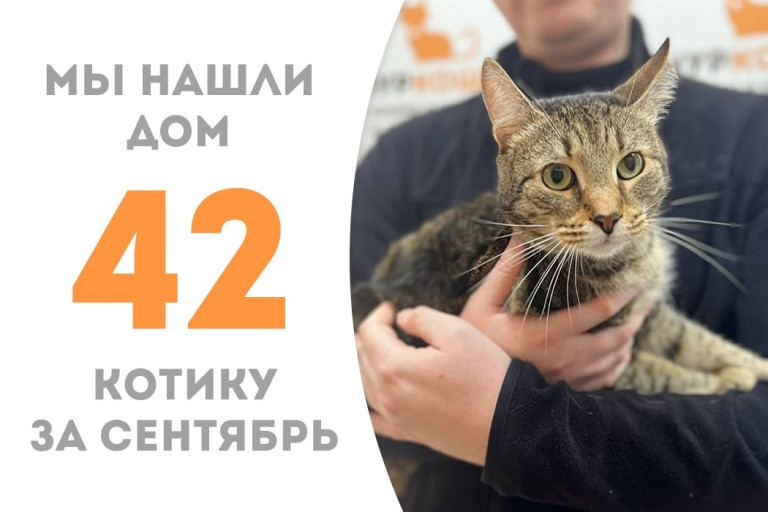 Котик Фараон стал домашним! 