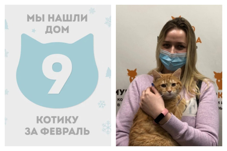 Котик Хокси встретил надёжную хозяйку!