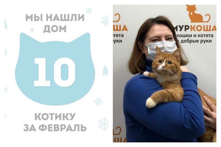 Котик Корусант стал домашним!