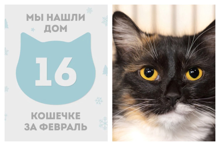 У кошечки Юстины теперь есть дом и семья!