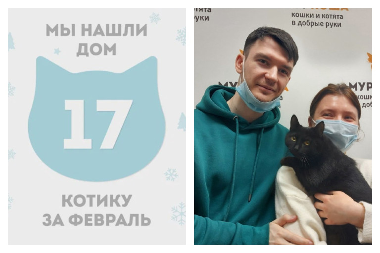 Котик Призрак начинает прекрасную домашнюю жизнь!