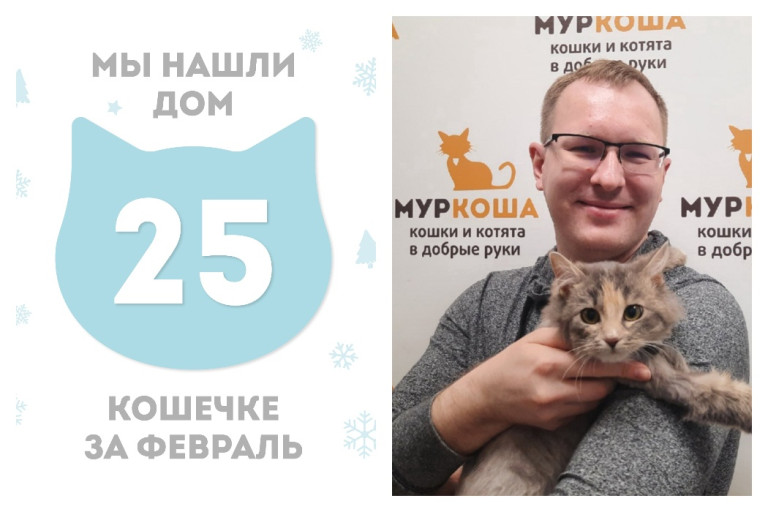 Кошечка Сусаль стала домашней за полтора месяца!